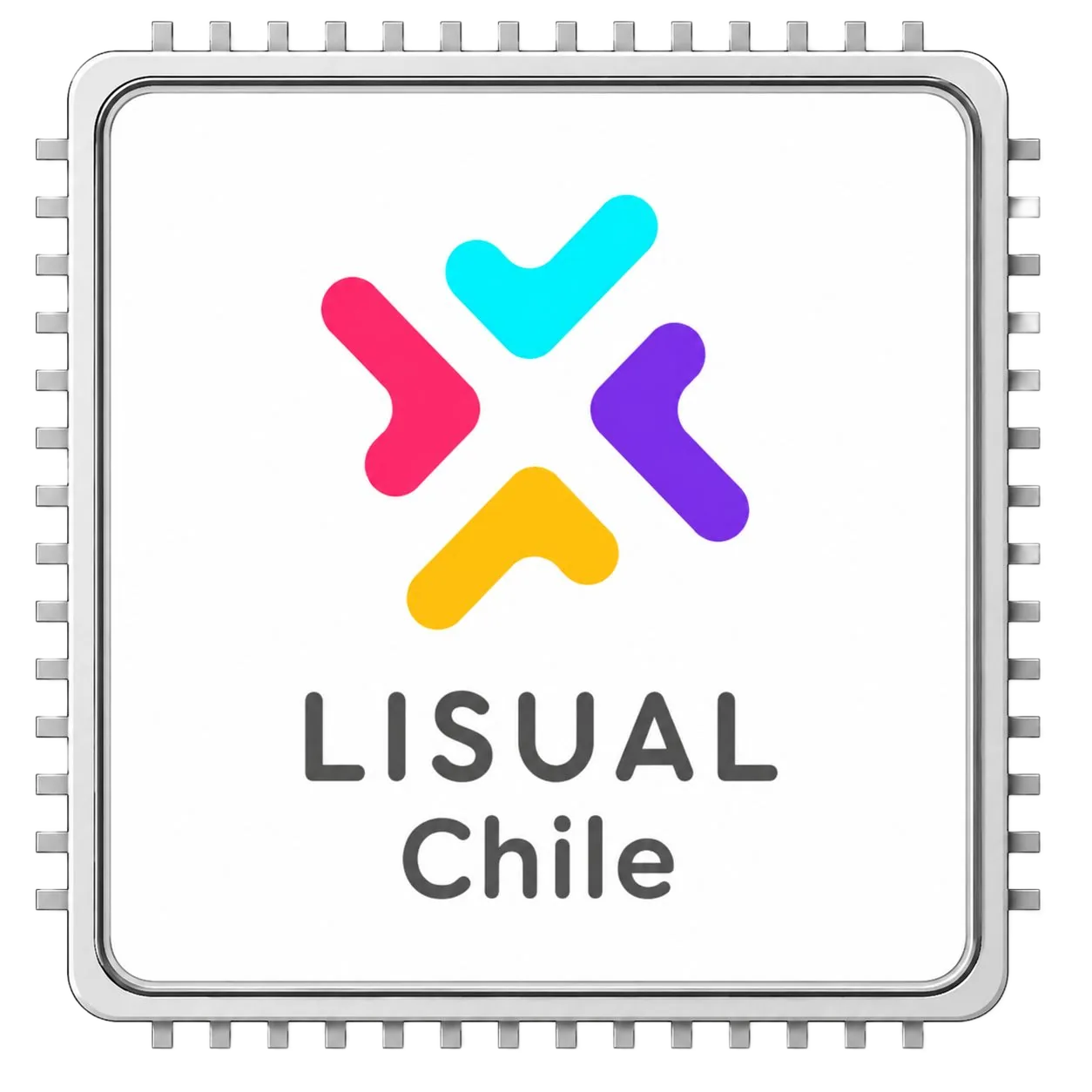 Software Lisual integrado a las cámaras